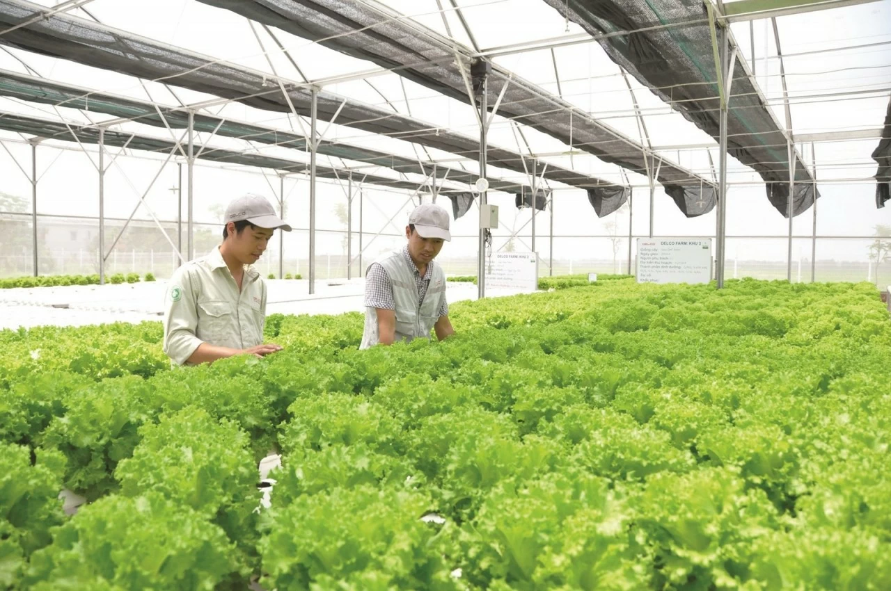 Tạo điều kiện cho doanh nghiệp, hợp tác xã tiếp cận gói tín dụng xanh, ưu đãi Tạo điều kiện cho doanh nghiệp, hợp tác xã tiếp cận gói tín dụng xanh, ưu đãi