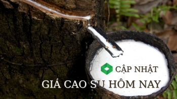 Ngày 19/11: Giá cao su tại Nhật Bản tăng 7 phiên liên tiếp khi đồng Yên suy yếu