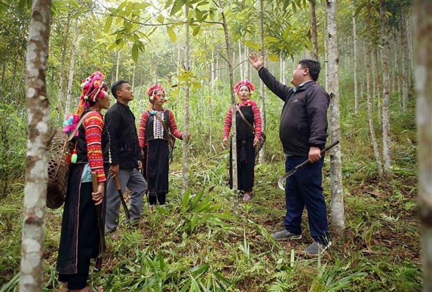 undefined Lai Châu đồng bộ giải pháp để đạt mục tiêu giảm tỷ lệ hộ nghèo 3,68% trong năm 2025