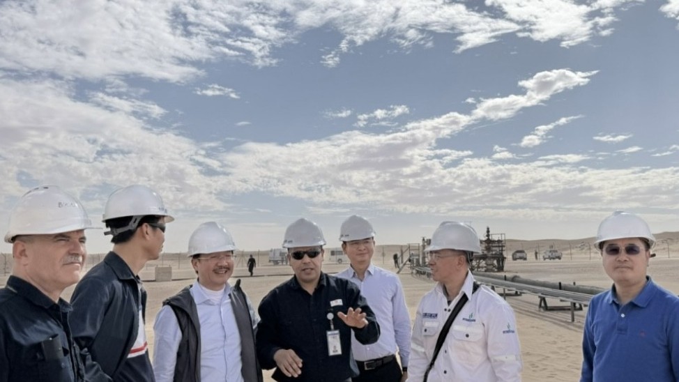 Đoàn công tác Petrovietnam làm việc tại dự án khai thác mỏ Algeria