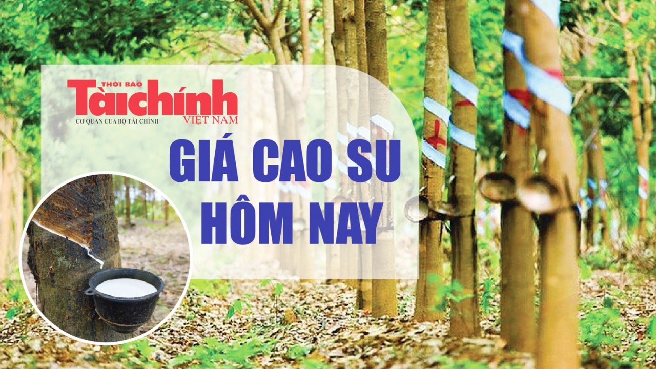 Ngày 20/11: Giá cao su thế giới đồng loạt tăng