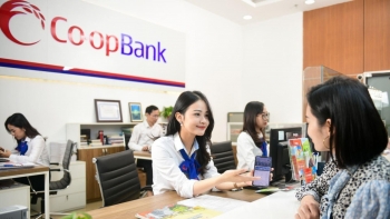 Thanh tra ngân hàng chỉ rõ bất cập thẩm định tín dụng tại Co-opBank Nghệ An