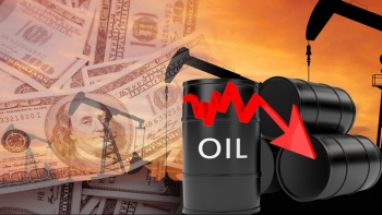 Ngày 24/11: Giá dầu thế giới tiếp tục chìm trong sắc đỏ