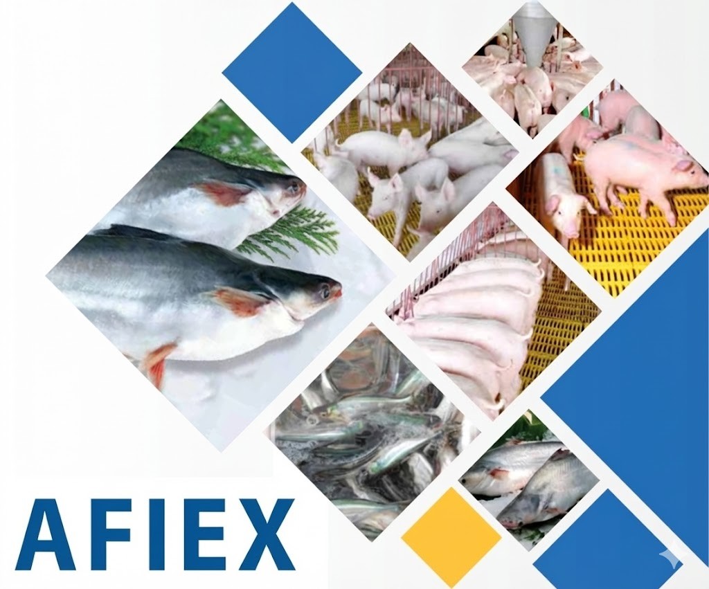 Chuyển động mới của AFIEX trước thềm niêm yết trên HOSE Chuyển động mới của AFIEX trước thềm niêm yết trên HOSE