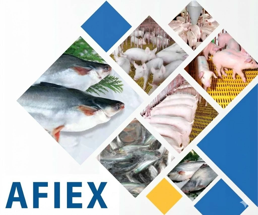 Chuyển động mới của AFIEX trước thềm niêm yết trên HOSE