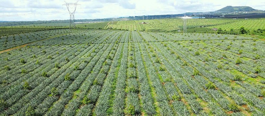 Chính sách đất đai gắn bó chặt chẽ với vận mệnh của khu vực Chính sách đất đai gắn bó chặt chẽ với vận mệnh của khu vực