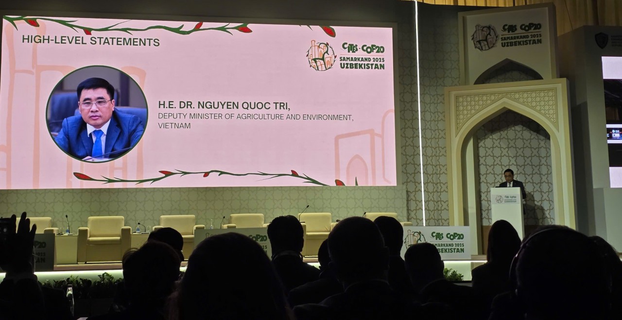 Việt Nam cam kết bảo vệ, bảo tồn thiên nhiên, đa dạng sinh học tại CoP20 Việt Nam cam kết bảo vệ, bảo tồn thiên nhiên, đa dạng sinh học tại CoP20