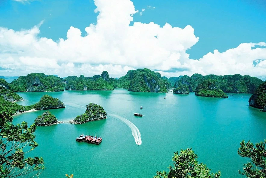 Bảo vệ môi trường là trọng tâm phát triển bền vững của Việt Nam Bảo vệ môi trường là trọng tâm phát triển bền vững của Việt Nam