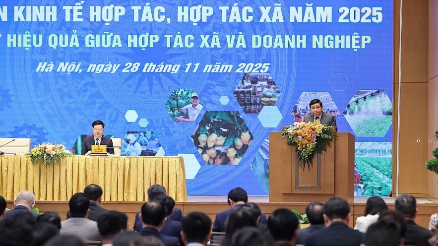 Tăng lực kết nối hợp tác xã - doanh nghiệp, thêm lực đẩy từ tín dụng