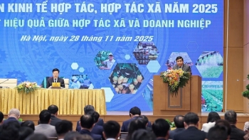 Tăng lực kết nối hợp tác xã - doanh nghiệp, thêm lực đẩy từ tín dụng