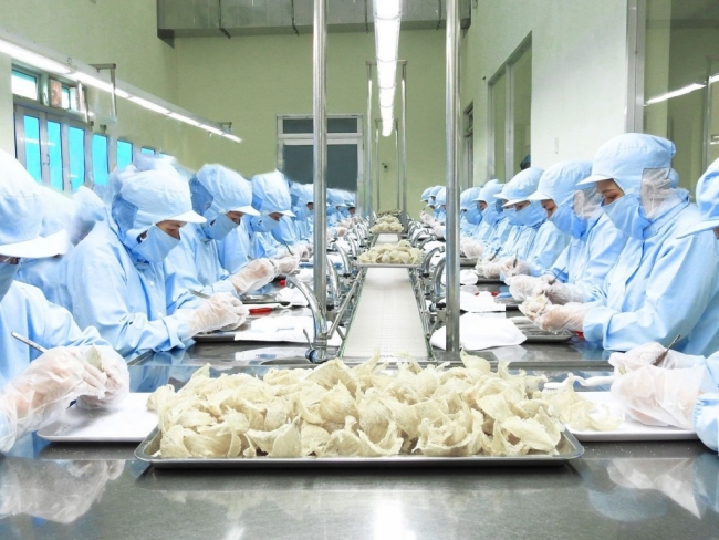 Ngành chăn nuôi và thú y Việt Nam chuyển mình rõ nét, đạt vị thế cao trong khu vực và thế giới