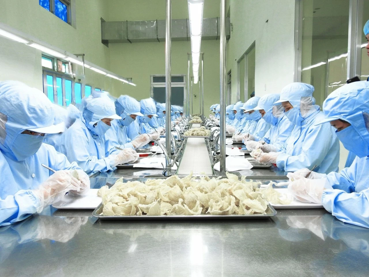 ngành chăn nuôi và thú y Việt Nam chuyển mình rõ nét ngành chăn nuôi và thú y Việt Nam chuyển mình rõ nét