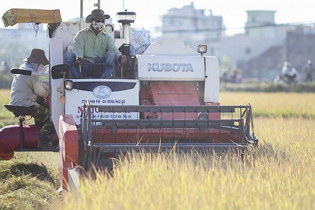 Tái cơ cấu ngành nông nghiệp theo hướng sinh thái, giá trị gia tăng cao