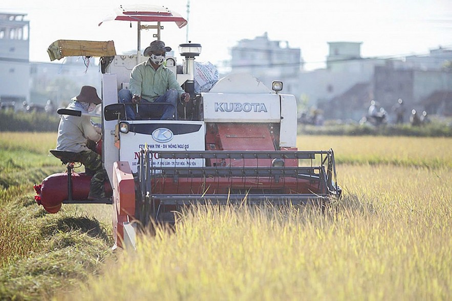 Tái cơ cấu ngành nông nghiệp theo hướng sinh thái, giá trị gia tăng cao