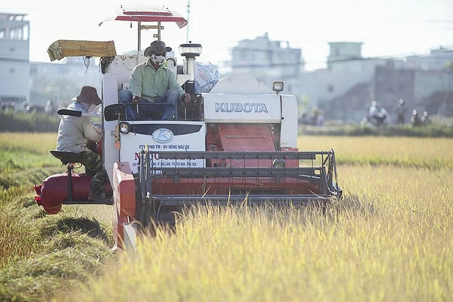 Tái cơ cấu ngành nông nghiệp theo hướng sinh thái, giá trị gia tăng cao Tái cơ cấu ngành nông nghiệp theo hướng sinh thái, giá trị gia tăng cao
