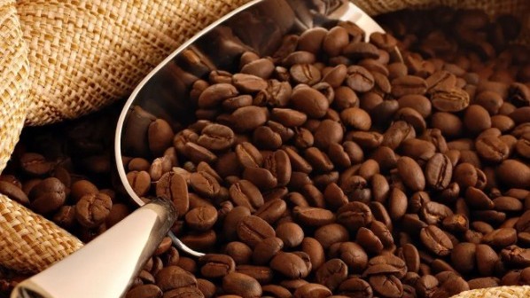 Ngày 2/12: Giá cà phê và hồ tiêu đồng loạt giảm mạnh