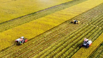 Đồng lòng kiến tạo nền nông nghiệp thịnh vượng, hiện đại, bền vững