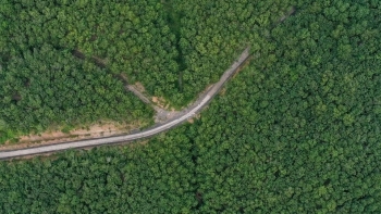 Phát triển chuỗi giá trị xanh là xu hướng tất yếu trong tiến trình chuyển đổi nông nghiệp