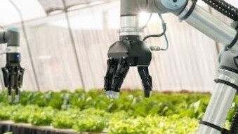 Phấn đấu đến năm 2035, tỷ trọng kinh tế số trong nông nghiệp đạt tối thiểu 20%