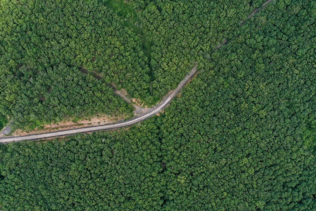 Hai trụ cột then chốt để phát triển nông nghiệp xanh (XB 20/11) Hai trụ cột then chốt để phát triển nông nghiệp xanh (XB 20/11)