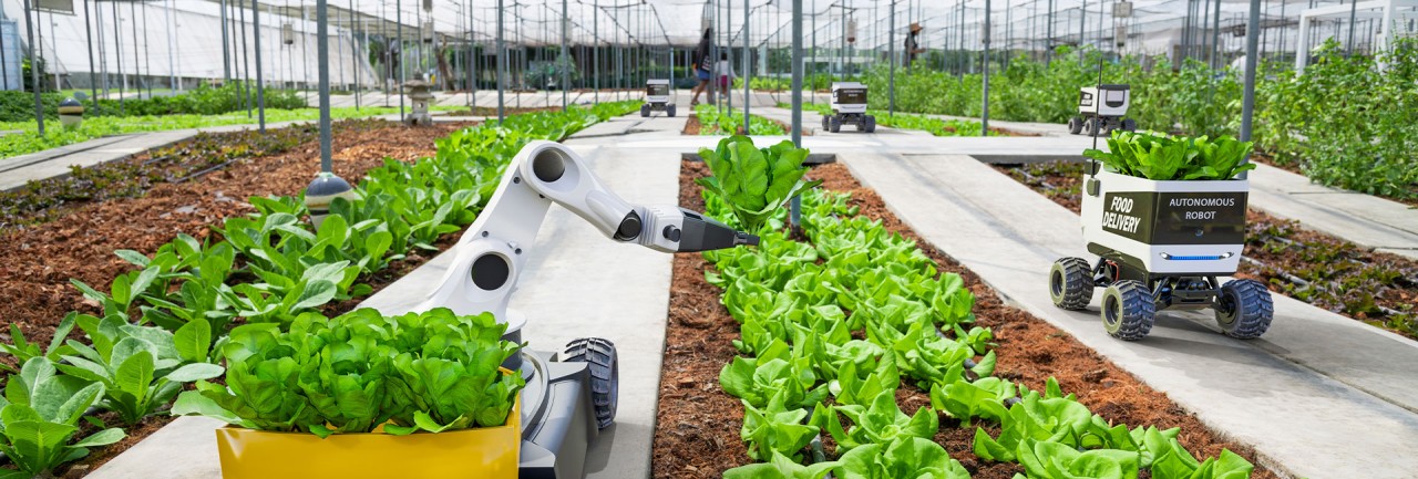 Phấn đấu đến năm 2035, tỷ trọng kinh tế số trong nông nghiệp đạt tối thiểu 20% (XB 28.11)