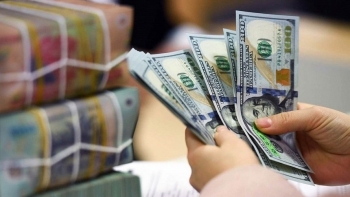 Tỷ giá USD hôm nay (3/12): Trung tâm ổn định, "chợ đen" bật tăng mạnh
