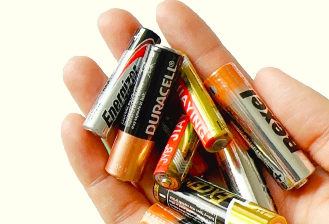 Đoàn Thanh niên Bộ Tài chính phát động Chương trình “Thu pin cũ - Đổi cây xanh”