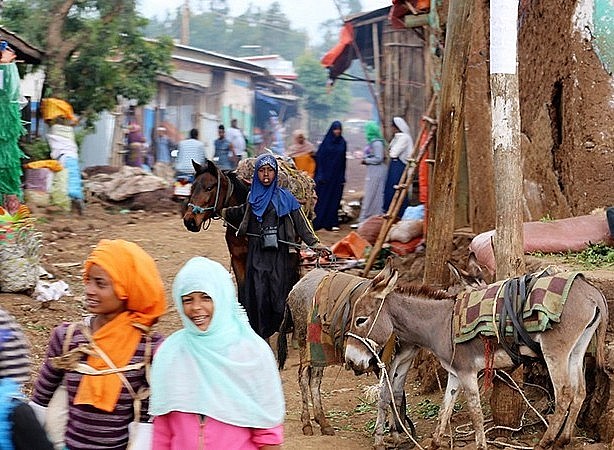 Chênh lệch trả nợ – vay mới ở các nước đang phát triển đạt mức cao kỷ lục trong 50 năm qua
