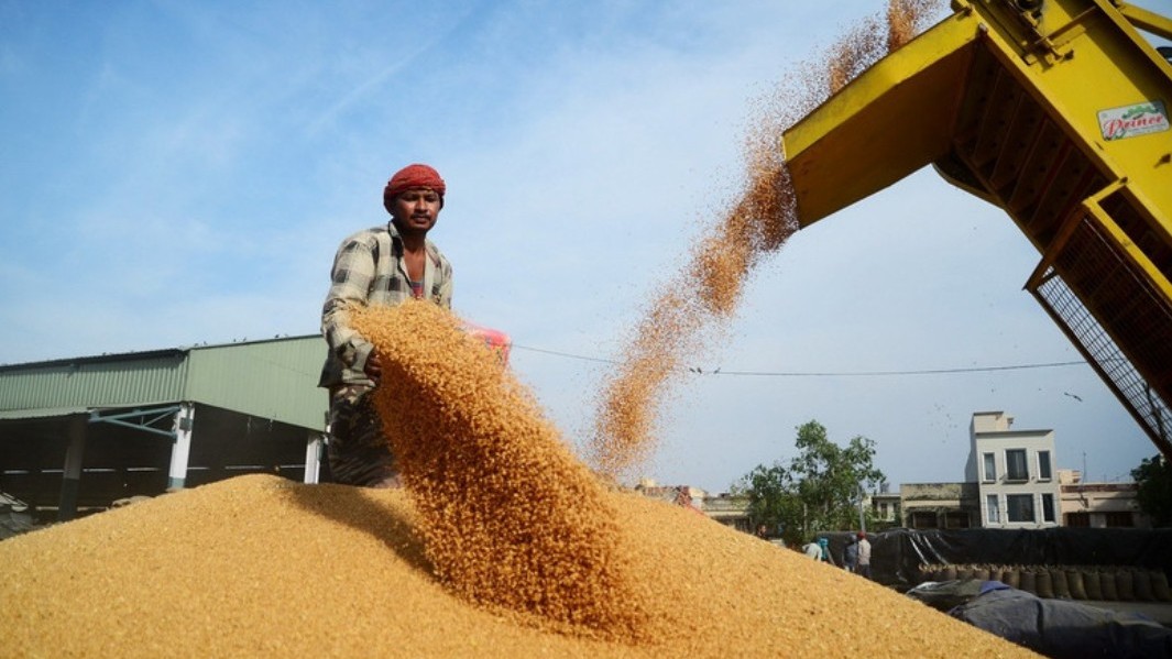 FAO: Giá lương thực thế giới giảm tháng thứ ba liên tiếp