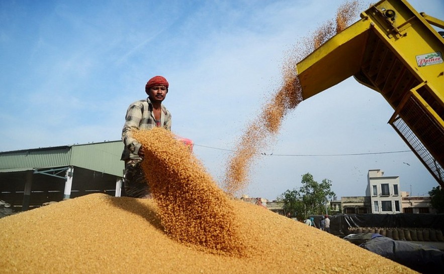 FAO: Giá lương thực thế giới giảm tháng thứ ba liên tiếp