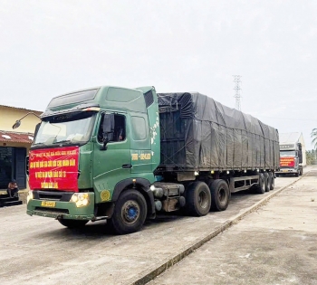 Hỗ trợ kịp thời các địa phương ứng phó, khắc phục hậu quả thiên tai