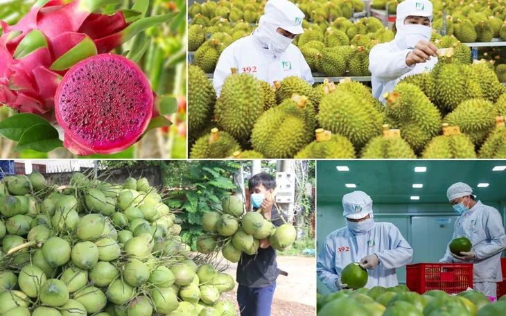 Xuất khẩu nông, lâm, thủy sản hướng tới mốc 70 tỷ USD Xuất khẩu nông, lâm, thủy sản hướng tới mốc 70 tỷ USD