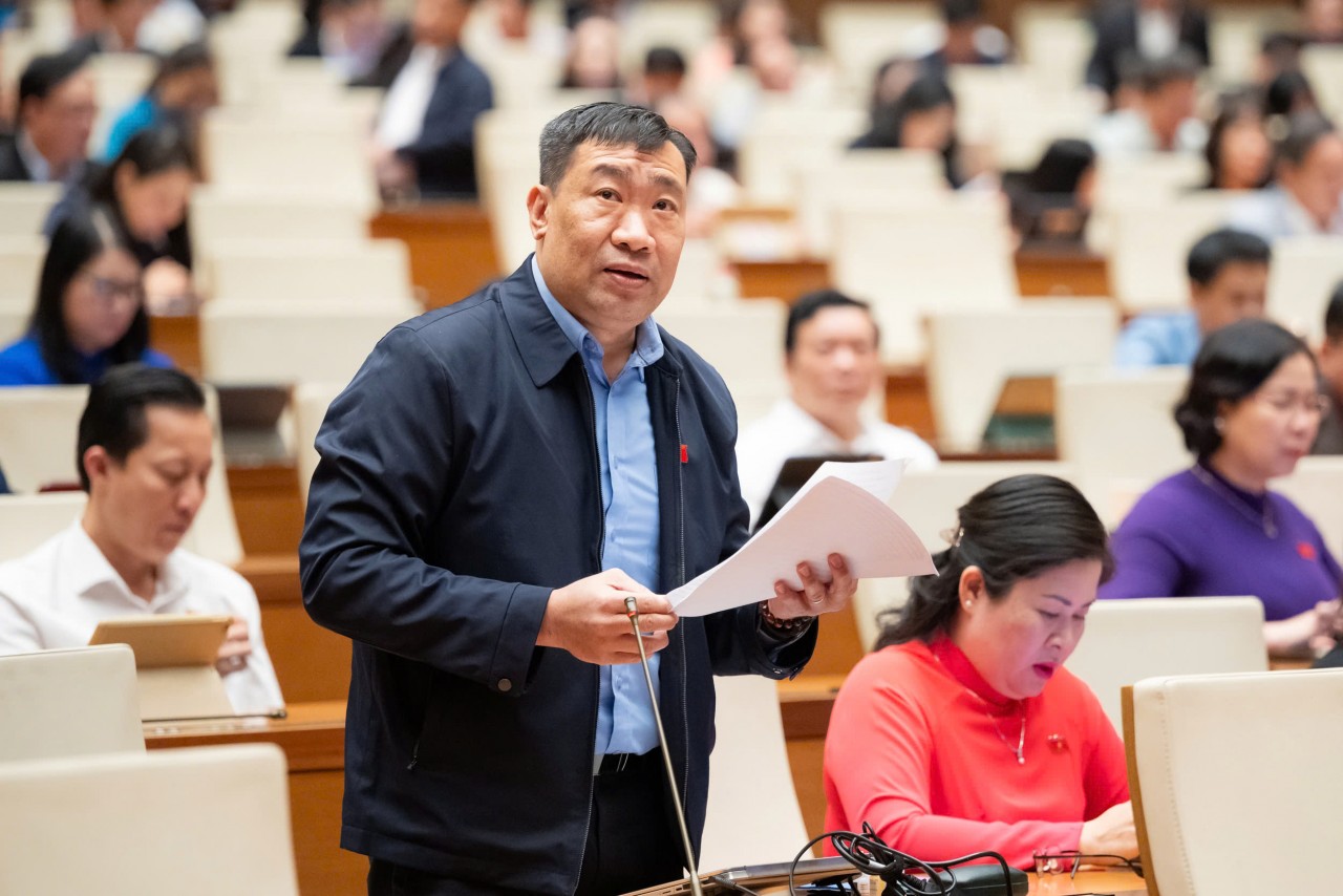 Cân bằng giữa quản lý rủi ro thuế và hỗ trợ, tạo thuận lợi cho doanh nghiệp Cân bằng giữa quản lý rủi ro thuế và hỗ trợ, tạo thuận lợi cho doanh nghiệp