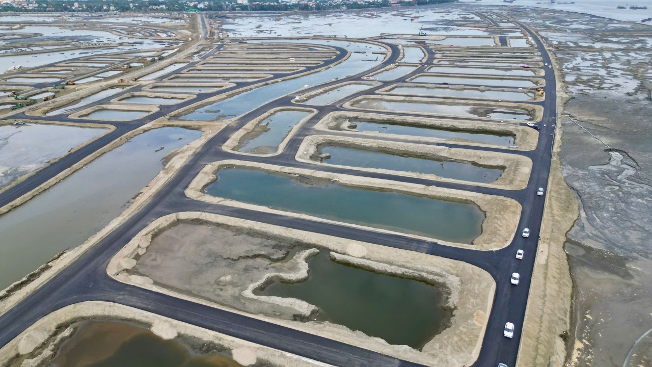 Vai trò của công nghệ xanh trong mô hình đô thị lấn biển