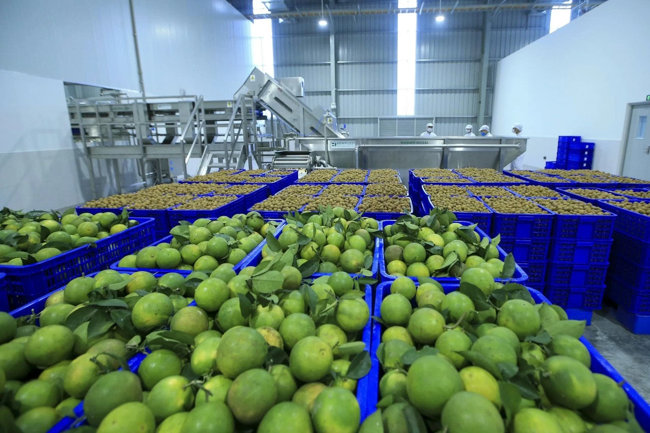 Công nghiệp chế biến nông, lâm, thủy sản có tốc độ tăng trưởng giá trị gia tăng hàng năm đạt 7-8% Công nghiệp chế biến nông, lâm, thủy sản có tốc độ tăng trưởng giá trị gia tăng hàng năm đạt 7-8%