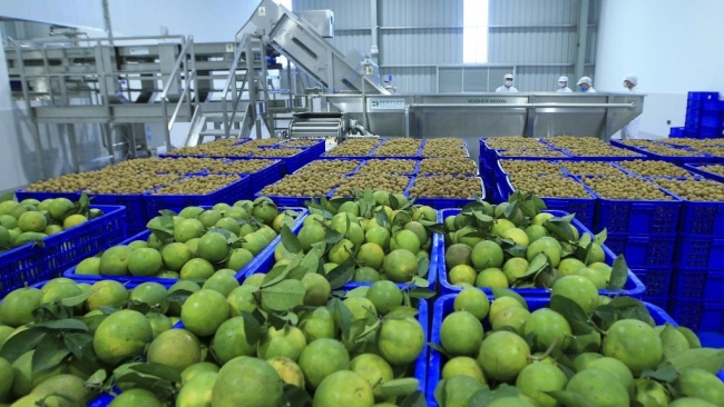 Phát triển công nghiệp chế biến, nâng cao năng lực cạnh tranh cho nông sản Việt