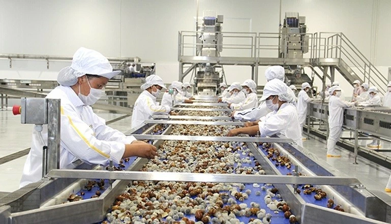 Phát triển công nghiệp chế biến, nâng cao năng lực cạnh tranh cho nông sản Việt Phát triển công nghiệp chế biến, nâng cao năng lực cạnh tranh cho nông sản Việt