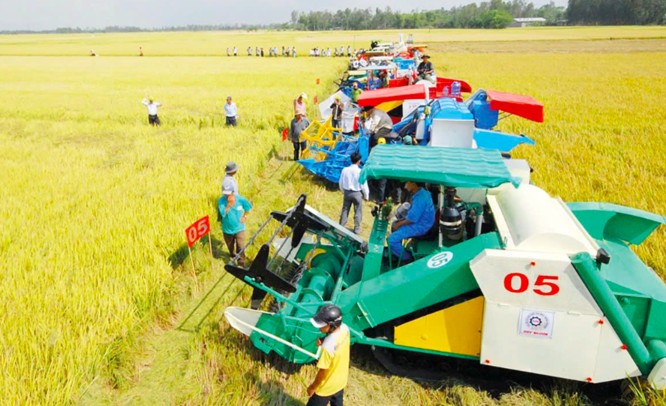 Kinh tế hợp tác và phát triển nông thôn: Kiến thiết thể chế, xây dựng nền nông nghiệp văn minh, hiện đại