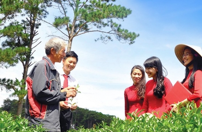 Dòng vốn tín dụng luôn ưu tiên và hướng vào lĩnh vực "tam nông"