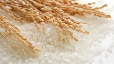 Ngày 13/12: Giá lúa gạo trong nước đi ngang, gạo Thái Lan tăng mạnh