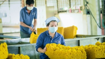 Ngày 13/12: Giá cao su tăng mạnh trên thị trường Nhật Bản