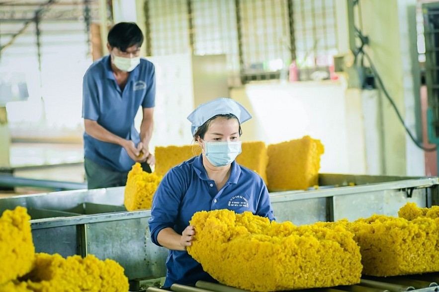 Ngày 13/12: Giá cao su tăng mạnh trên thị trường Nhật Bản Ngày 13/12: Giá cao su tăng mạnh trên thị trường Nhật Bản