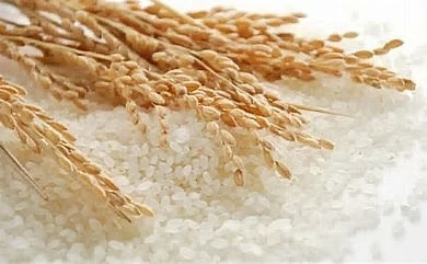 Ngày 16/12: Giá lúa gạo ổn định, phụ phẩm tăng
