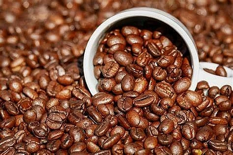 Ngày 17/12: Giá cà phê tiếp tục giảm sâu, hồ tiêu tăng nhẹ