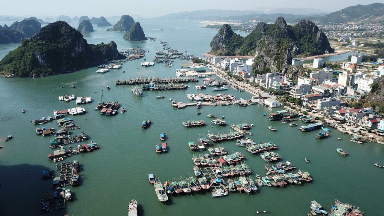 Quảng Ninh phấn đấu GRDP đạt trên 12,5% trong năm 2026 Quảng Ninh phấn đấu GRDP đạt trên 12,5% trong năm 2026