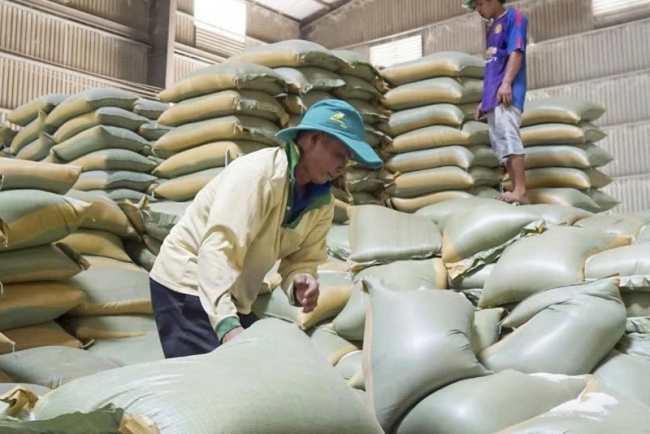 Dư cung, giá gạo đầu năm 2026 khó tạo "bước nhảy"