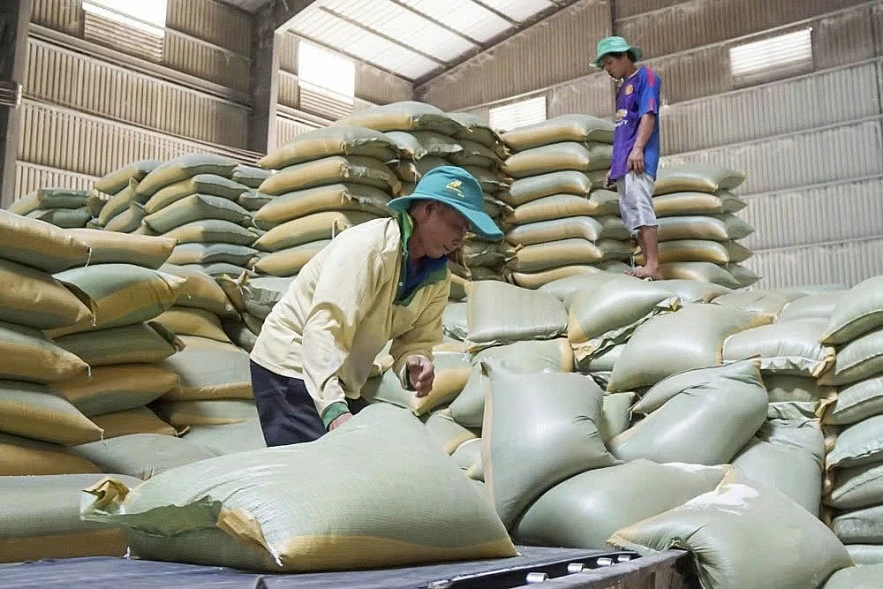 Dư cung, giá gạo đầu năm 2026 khó tạo Dư cung, giá gạo đầu năm 2026 khó tạo