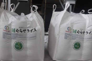 Gạo Việt xanh phát thải thấp có cơ hội mở rộng thị trường cao cấp