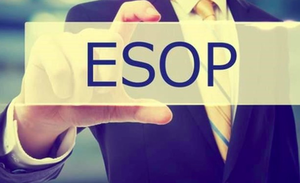 Chứng khoán Kỹ Thương lấy ý kiến cổ đông về kế hoạch phát hành ESOP