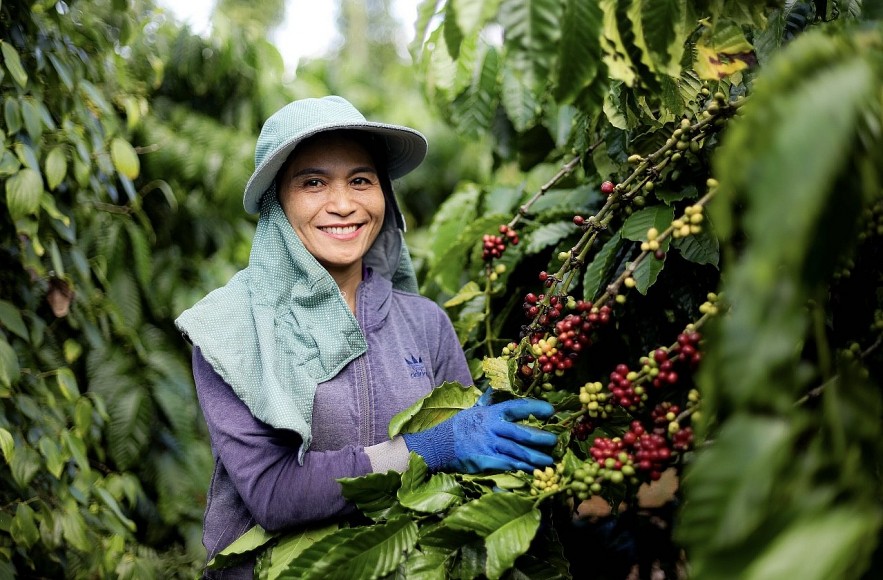 Nestlé Việt Nam lan tỏa kinh tế tuần hoàn trong nông nghiệp